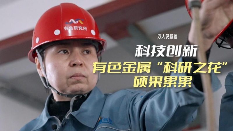 软件测试流程与步骤：面试官眼中的关键